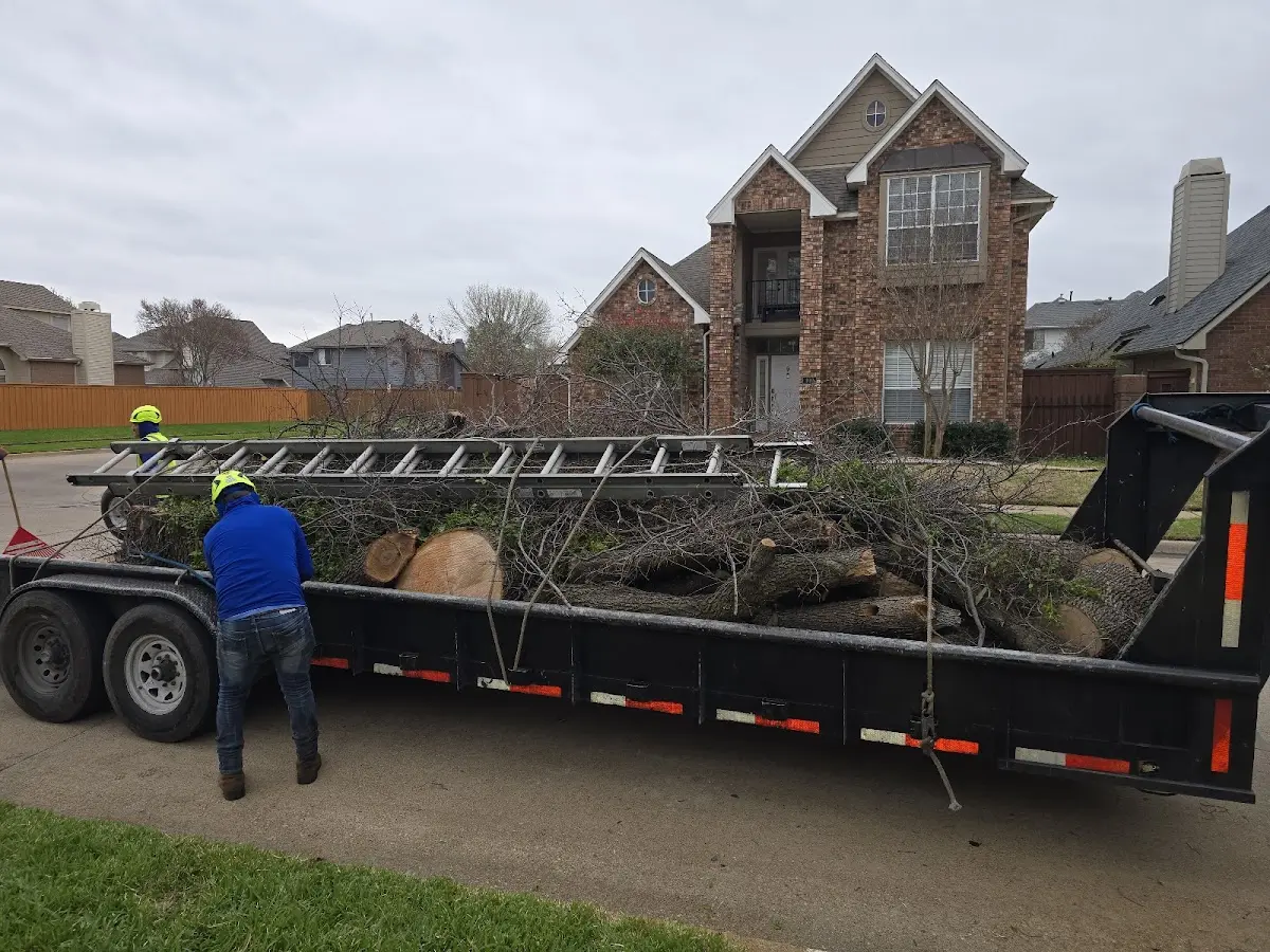 Expert Tree Fertilization with proper safety equipment in Wadesboro